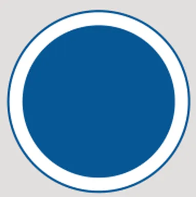 Solid blue circle with white border