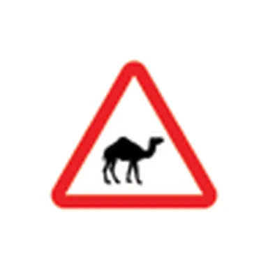 UAE road sign: Wild animals (camel)